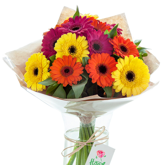 Bright and exuberant, this hand-crafted bouquet of Gerbera daisies brings a burst of colour, expertly arranged by Clerkenwell Flowers for a touch of contemporary vibrancy. Each large, radiant blossom-whether golden yellow, zesty orange, or deep magenta-features a strikingly dark central disc, lending the display striking visual contrast and depth. Interspersed among the cheerful daisies, fresh greenery provides a welcoming softness, each leaf adding structure and fullness to the design. Wrapped partially in rustic, natural-toned kraft paper and encased in glossy, protective cellophane that flares delicately around the heads, the arrangement strikes an artful balance between modern polish and urban simplicity. A length of natural twine, tied into a neat bow, gathers the bundled stems just above the waterline inside a classic, clear glass vase, while a small white tag-embellished with a stylized red rose-adds a final artisanal flourish. Light dances across the surface of the vase, illuminating the vital freshness of every stem. Whether staged as a radiant centrepiece for a design studio in Clerkenwell or gifted to brighten a home along Rosebery Avenue, this Gerbera bouquet captures the optimism and creative pulse of London's EC1 neighbourhood, perfect for celebrating milestones or sending sunshine to someone dear.