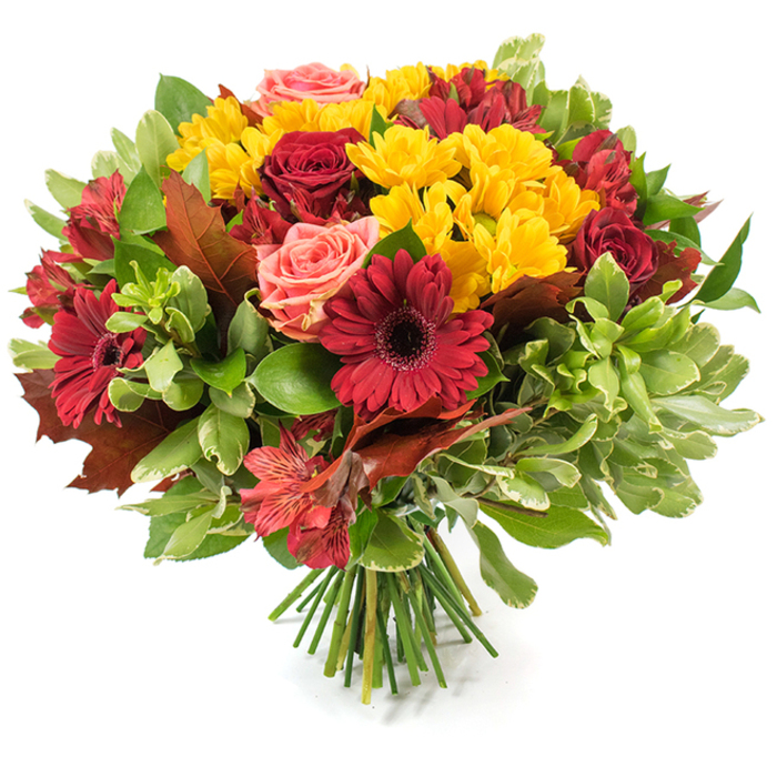 A lush, densely composed hand-tied bouquet presented on a white surface, crafted to express the rich warmth of autumn through a carefully chosen palette and tactile contrasts. The arrangement is anchored by striking deep red gerbera daisies with broad petals and pronounced centres, while clusters of small, intensely yellow spray chrysanthemums punctuate the massing of blooms with bright, textured dots of colour. Deep crimson roses-some unfurled into layered petals, others kept as tight, promising buds-sit close to softer coral and blush roses that temper the composition with delicate, peachy highlights. Narrow, spotted alstroemeria in orange-red hues weave through the grouping, their slender, lily-like forms adding movement and fine detail. A generous selection of foliage creates volume: glossy, dark green leaves give weight and saturation, lighter green and variegated leaves introduce contrast, and several large, bronze-tinged autumn leaves are set among the flowers to emphasise the seasonal character. The stems are neatly gathered and visible at the base, a fresh green bundle that signals a professionally hand-tied finish designed to rest easily as a centrepiece. Under even, soft lighting the petals seem to glow and the textures-from satiny rose petals to slightly papery autumn leaves-invite touch. As a local floral choice for Clerkenwell tables or a seasonal gift after browsing Exmouth Market, this bouquet conveys warmth and quiet celebration, suitable for Thanksgiving gatherings, harvest feasts or simply to bring the comfort of autumn indoors.