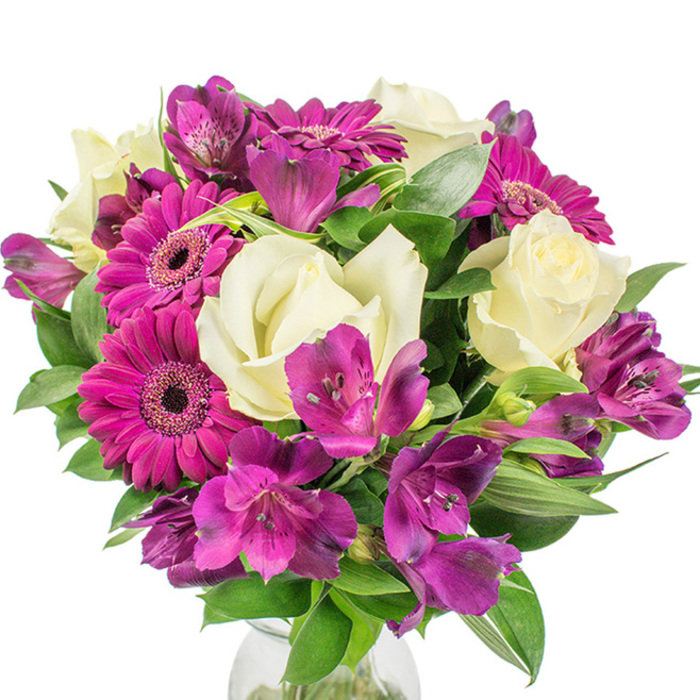 A professionally crafted, densely packed round bouquet set against a stark white background, gently anchored by the suggestion of a clear glass vase at its base. At least three deep magenta Gerbera daisies dominate the vista, their radiant, fuchsia-leaning petals arranged in precise layers around dark, intricate central discs that give each bloom a focused, energetic expression. Against this vibrancy, creamy white roses unfold in soft spirals; their classic form and pillowy texture introduce a soothing counterpoint of romance and calm. Intermingled throughout are numerous clusters of purple and fuchsia Alstroemeria - Peruvian lilies - whose trumpet-like petals and occasional speckled markings contribute visual interest and a slightly exotic flourish. The bouquet is further enriched by an abundant selection of foliage: glossy dark greens, some with subtle variegation, and some narrower leaves that add vertical rhythm and a sense of movement. Light plays across the composition, creating pockets of highlight and shadow that emphasise petal edges and the depth of the arrangement. The overall silhouette reads as full and luxurious without appearing overworked; each stem has been placed to preserve breathing space between textures so that the Gerberas' bold faces, the roses' tender curls, and the Alstroemeria's patterned throats can all be appreciated. This centerpiece would suit a celebratory dinner on Clerkenwell's characteristic narrow streets, a polished reception area near Leather Lane, or as a thoughtful gift to express affection or congratulations. It conveys freshness, careful craft, and a lively yet refined palette that sits comfortably between modern flair and traditional elegance.