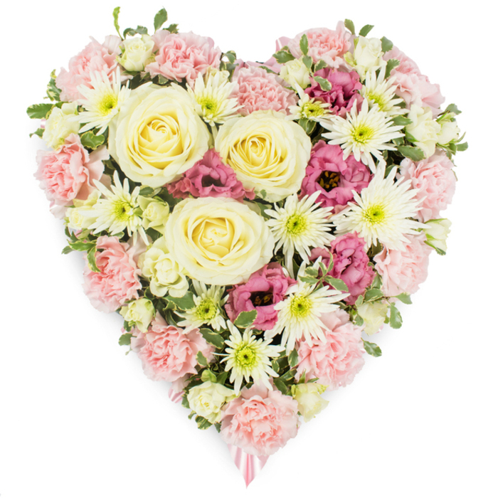 A meticulously composed heart-shaped sympathy arrangement appears against a crisp white backdrop, the clean setting allowing its soft, romantic colours to resonate. The entire heart is packed tightly with blossoms so that no gaps in the surface are visible, only a tapestry of petals in pastel pink, creamy yellow, bright white and rich magenta. At the visual centre, several creamy yellow roses unfurl in perfect spirals, each bloom full and symmetrical, their satiny petals catching the light to create a soft, warm glow. These roses are encircled by abundant pale pink carnations, whose gently ruffled petals overlap like layers of delicate fabric, forming both the main structure and the outer contour of the heart. Between the carnations, white spider chrysanthemums emerge, instantly recognisable by their characteristic thin, spiky petals fanning out from lime-tinged centres, adding a playful, starburst effect and cooling contrast to the warmer tones. Deeper magenta-pink lisianthus blooms are strategically dotted throughout, their cup-like, slightly frilled shapes introducing a richer hue and a sense of depth, as though memories run deeper than the pastel surface might suggest. Small touches of greenery and tiny buds peep through to break the colour fields and bring a natural, garden-fresh feeling. A soft pink ribbon subtly trails from the pointed tip of the heart, hinting that this floral piece is designed for a memorial or funeral service. It feels like something lovingly prepared by Clerkenwell Flowers for a farewell gathering near Farringdon or along Clerkenwell Green, a quiet yet eloquent expression of love, remembrance and gratitude for a life well lived.
