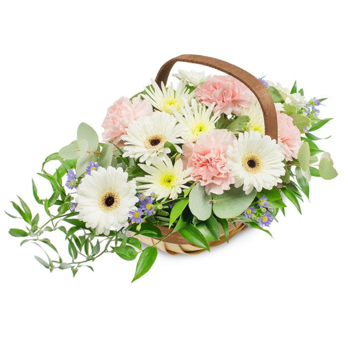 This elegant, generously filled floral basket presents a harmonious trio of whites, blush pinks and lush greens, arranged with the restraint and balance suited to formal occasions. Tall, immaculate white Gerbera daisies with deep brown to nearly black central discs create crisp focal points, their smooth petals providing a bright, clean geometry against softer elements. Encircling and cushioning these focal blooms are numerous pale pink carnations whose layered, frilled petals lend tactile depth and a gentle, romantic whisper. Between these larger flowers, small white and pale-yellow daisy-like chrysanthemums or asters nestle densely, producing a luminous, meadow-like underlayer that brightens the composition. Subtle accents of pale blue to lavender star-shaped blooms are tucked into the foliage, offering a quiet coolness that offsets the warm blush tones without overwhelming them. The greenery is a study in texture: round silvery eucalyptus leaves bring a modern, slightly aromatic presence, while darker, glossy ruscus branches trail elegantly from the left-hand side, creating a dignified drop that would suit placement against a mantel or beside a church lectern. All elements rest in a refined woven basket of light wood, its curved brown handle arching above as a natural frame. The lighting is clear and even, revealing the freshness of petals and the soft sheen on leaves. This arrangement reads as a composed tribute or a sophisticated centerpiece for memorials, anniversary commemorations, or restrained celebrations in the Clerkenwell area - a considered choice for delivery to venues near Charterhouse Square or St John's Gate.
