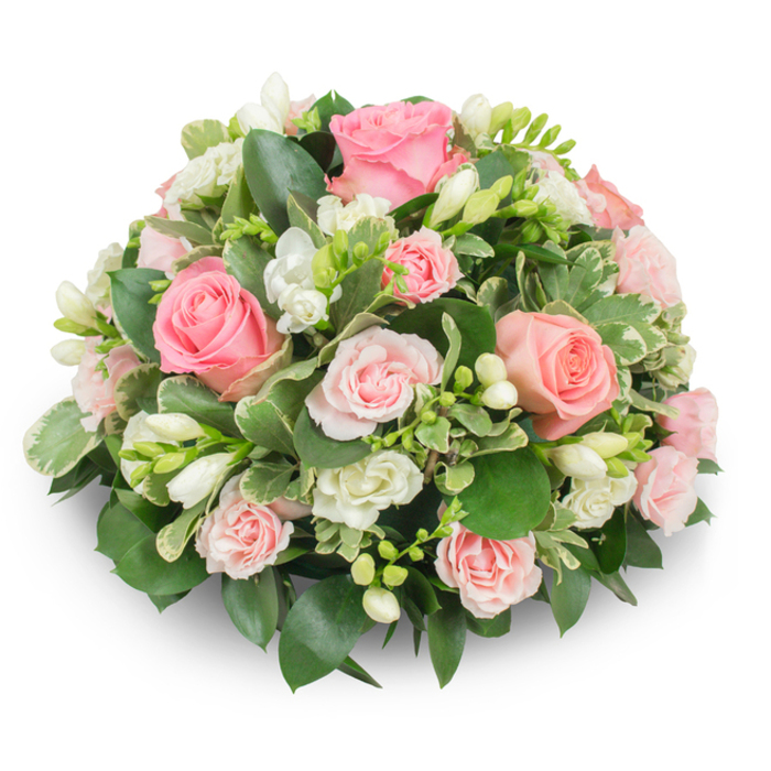 An elegant, cushion-like floral tribute captured on a clean white background, this arrangement blends classic pink roses and snowy white freesias into a formal yet tender composition that reads as both comforting and refined. The focal roses vary in scale-larger heads in full bloom with velvety, unfurling petals sit beside smaller spray roses in paler pink-creating a rhythmic depth across the dome. Interspersed white freesia add vertical punctuation: some bells fully open and revealing fine yellow stamens, others in neat buds that promise unfolding generosity of form. Filling flowers such as tiny white carnations or waxy fillers nestle close to the roses, enhancing the lush density without breaking the smooth outline. Deep green leaves, likely salal and ruscus, provide a glossy, steady canvas, while variegated pittosporum-like foliage with cream-edged margins lifts the tone and adds visual sparkle. The design conceals stems completely, producing a compact, symmetrical mound that casts a soft shadow under soft, natural lighting and emphasizes the tactile contrast between velvety petals and glossy foliage. The scent is a subtle blend of rose warmth and freesia's delicate sweetness-not overpowering, but present enough to evoke memory. As a Clerkenwell florist I imagine this arrangement being delivered from Clerkenwell Flowers to a reception at a nearby hall on Rosebery Avenue or left gently at a loved one's memorial in St John's Square; its restrained palette and expert construction make it apt for sympathy, remembrance, or a quietly elegant gift. The overall impression is one of calm dignity, thoughtful detail, and freshly gathered beauty.