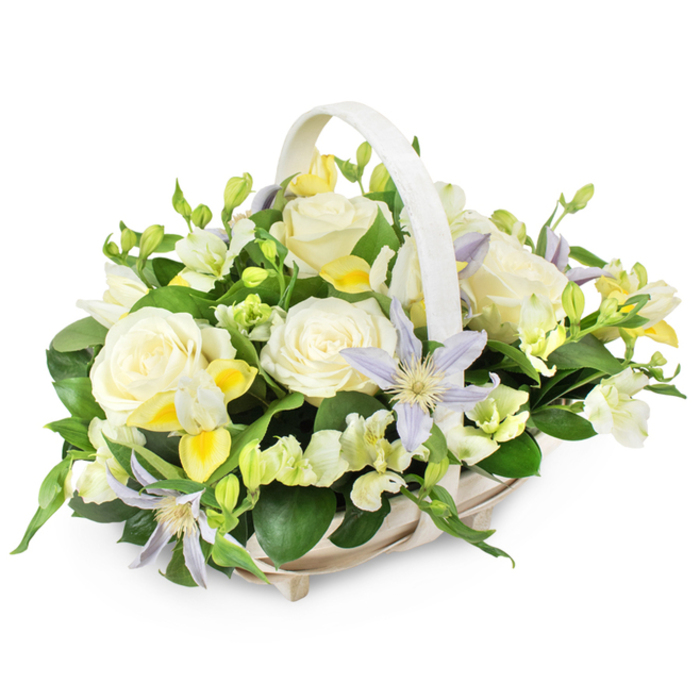 Set against a pure white background, this funeral flower basket feels like a small, self-contained garden of peace, thoughtfully arranged by a local Clerkenwell florist. The basket itself is woven from light beige wicker, with a smooth, arching handle that rises above the flowers like a gentle halo. Inside, the arrangement forms a softly rounded mound of blossoms, intentionally low and embracing, rather than tall or showy. The eye is drawn first to the open, creamy white roses, their petals layered in generous, velvety spirals that catch the light and suggest innocence, reverence and farewell. Nestled between the roses are star-shaped clematis blooms in a tender lavender hue, each with a bright yellow-green heart, bringing a subtle, almost ethereal contrast reminiscent of early evening skies over Clerkenwell Road. Around these central flowers, clusters of white and pale lemon freesia-like blossoms cascade gently, some stems filled with buds, others carrying trumpets just beginning to open, adding both fragrance and delicate movement to the composition. Ruffled white filler flowers, likely lisianthus, deepen the lush, cloud-like texture. Rich dark green foliage, polished and full, forms a protective base, while finer, lighter green sprigs reach inward, softening the transitions between blooms. The mood is calm, reflective and deeply tender, ideal for honouring a loved one at a small family gathering or sending condolences to a home near St John Street. Every detail, from the balanced colour harmony to the natural flow of the stems, supports a message of quiet sympathy, gentle remembrance and enduring love.