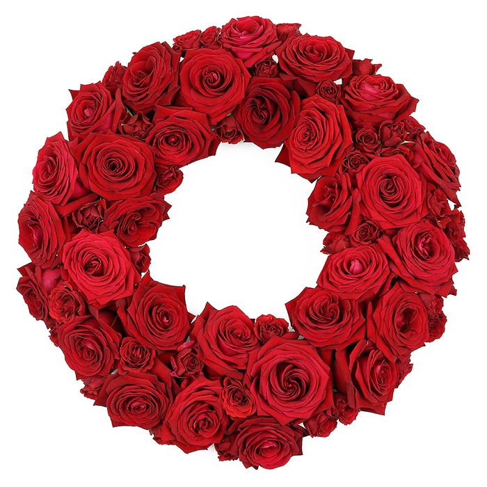 A vibrant, circular wreath, crafted entirely from dozens of fresh, deep red roses, stands out against a stark white background. The wreath is densely packed, creating a lush, luxurious texture composed of roses in various stages of bloom and size. Predominantly, large, fully opened rose heads with velvety petals form the main body of the wreath, showcasing their intricate, spiraling centres and rich, consistent ruby-red hues. Smaller, partially opened roses and tightly clustered miniature blooms are interspersed throughout, filling any gaps and adding a dynamic sense of depth and volume to the arrangement. The exquisite detail of each petal is visible, highlighting the natural beauty and elegance of these classic flowers. This striking red rose wreath conveys powerful symbolism often associated with profound love, passion, respect, remembrance, and sympathy, making it suitable for a wide range of articles discussing floral arrangements for romantic gestures, memorial services, festive celebrations, or elegant home decorations. In a Clerkenwell studio near Smithfield Market, we weave this design with the same care we give to events in nearby Holborn or Farringdon, and it is available for same-day delivery across the neighbourhood, ensuring freshness upon arrival.