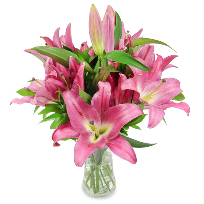 A carefully composed bouquet of freshly cut pink oriental lilies occupies a clear glass vase, photographed against an immaculate white backdrop so every botanical detail registers with clarity. The arrangement presents a generous cluster of blooms in various stages: many fully open with six broad, outward-curving petals in vibrant fuchsia graduating to softer pinks and a pale, yellowish-green throat, and several elongated, tapered buds still tightly furled. Each open flower exposes slender filaments and prominent, dark burgundy anthers that carry visible dustings of yellow pollen, lending textural contrast to the satiny petals. The leaves are abundant and lance-shaped, their deep green glossy surfaces setting off the vivid flowers and forming a structured silhouette around the stems. The vase itself is transparent and elegantly simple, subtly tapering toward the base so the trimmed green stems and clear water are plainly visible-an indication of meticulous floral care. Studio lighting sculpts shadows under petals and along the stems, enhancing the bouquet's three-dimensional presence while the pristine white surface ensures no competing elements distract from the lilies' colour and form. The overall mood is refined and uplifting, appropriate for formal gifts, sympathy tributes, or as a polished centrepiece for a Clerkenwell townhouse near Farringdon Road or a compact flat off Leather Lane, where its quiet sophistication would complement contemporary interiors and bring a gentle, floral perfume into the room.