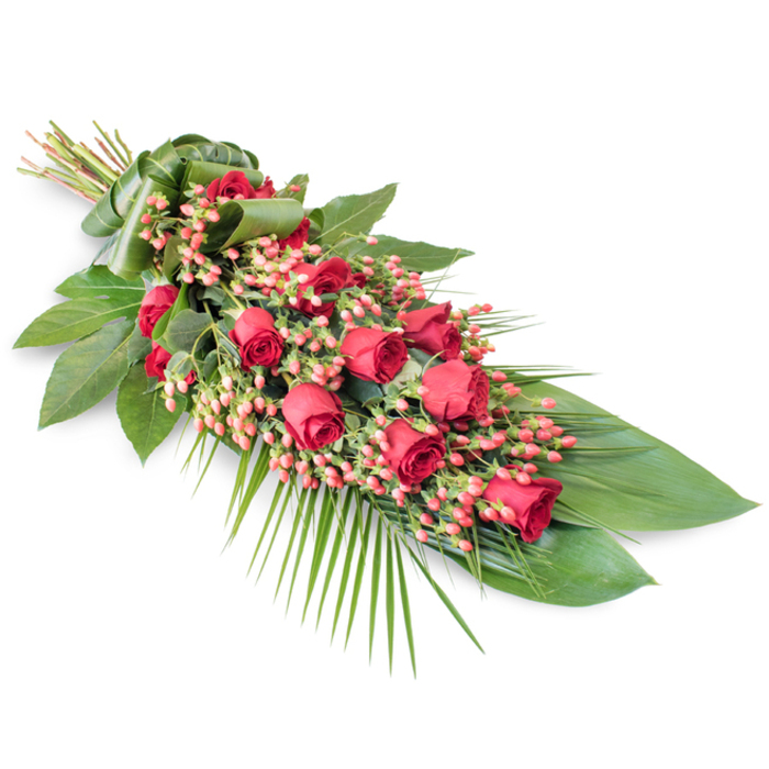 An elongated red rose funeral spray is laid out diagonally against a spotless white background, creating a simple, almost gallery-like setting that emphasises the richness of the flowers and foliage. The main body of the piece is composed of around two dozen deep red roses, some tightly furled and others beginning to open, their velvety petals catching the light in soft highlights and shadows. These roses form a continuous line along the length of the spray, from the bound stems at the top left to the gently tapering tip at the lower right. Threaded among the roses are compact clusters of small, coral and pinkish-red Hypericum berries, whose rounded, bead-like shapes and subtle shine contrast with the plush rose petals and bring a fresh, contemporary touch to this otherwise classic design. Around and beneath the flowers is a generous layer of mixed greenery: broad, dark green leaves with a smooth, glossy surface provide structure and depth, while slender, feathery palm fronds extend outward to create a flowing, almost teardrop silhouette. A few finer stems, possibly eucalyptus or similar airy foliage, peek through the denser greens, adding lightness and texture. At the upper left, the exposed stems are neatly aligned and wrapped in a strip of folded green leaf, giving the tribute a refined, professional finish that speaks of careful craftsmanship. The overall impression is of a dignified, heartfelt sympathy arrangement, the sort that might be delivered to a Clerkenwell funeral parlour or a service near Exmouth Market, offering a visual expression of love, sorrow, and remembrance when words feel insufficient.