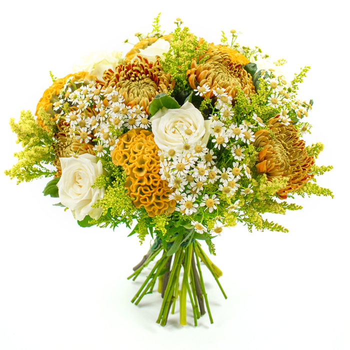 Set against a clean, white studio background, this lush bouquet is tightly hand-tied into a rounded, almost domed shape, overflowing with autumnal warmth that would sit beautifully on a Clerkenwell dining table near Lamb's Conduit Street. Dominant in the arrangement are full, textural chrysanthemums in rich tones of golden yellow, burnt orange, and warm copper, their many fine petals creating concentric layers that add both structure and a touch of drama. Tucked thoughtfully among these bolder flowers are several creamy white roses, their petals smooth and gently curling back in classic spirals, giving a soft, romantic counterpoint to the more rugged, spiky chrysanthemums. Standing out with distinctive character, velvety yellow-orange cockscomb celosia blooms form sculptural, brain-like crests, each ruffled fold catching the light and introducing a tactile, almost sculpted quality that speaks to careful floral artistry. Sprinkled throughout the bouquet, numerous miniature daisy-like blossoms with bright yellow centres and pure white petals evoke chamomile or matricaria, their loose, meadowy look adding an informal, freshly gathered charm. Around the flowers, airy stems of lime-green solidago and assorted greenery fan out in different lengths and textures, some feathery and delicate, others broader and more solid, building a vivid green backdrop that makes the warmer colours pop while suggesting vitality and freshness. The stems are aligned and trimmed to similar lengths, neatly bound with a wrap of green florist's tape, clearly ready for a vase or to be handed over as a gift. With its harmonious blend of colour and texture, the bouquet feels ideal for celebrating an autumn birthday, welcoming someone to a new flat near Farringdon, or sending a seasonal thank-you across Clerkenwell, carrying a mood of cosy elegance and natural abundance.