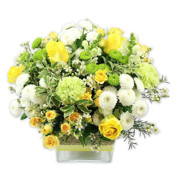 A lush, generously sized floral display rests in a low, rectangular clear glass vase, its domed shape and fresh colours echoing the creative yet relaxed atmosphere of Clerkenwell's studios and cafes. At the centre, large yellow roses open in layered spirals, their velvety petals catching the light, while clusters of smaller yellow spray roses weave between them, adding a sense of abundance and intricate detail. Around these, white button chrysanthemums form compact, rounded blooms, their tightly packed petals creating a soft, cushion-like texture that balances the sharper lines of the roses. Intermingled are vivid lime green button mums and larger, ruffled pale green flowers-similar to green carnations or decorative chrysanthemums-which bring a cool, refreshing note, like the first green leaves emerging along nearby Farringdon lanes in early spring. The arrangement is heavily collared with mixed greenery: broad, variegated leaves with creamy edges, glossy deep green foliage, and airy sprigs of filler greens that reach outward, giving the bouquet an organic, garden-fresh silhouette. Delicate white filler flowers, possibly waxflower or tiny gypsophila, punctuate the design, their small star-shaped blooms lending lightness and a hint of delicacy. The vase itself is wrapped mid-section in a textured band of natural, woven material-perhaps raffia or bark-adding a handcrafted, earthy feel, then finished with a neat pale yellow or lime ribbon that harmonises with the floral tones. Photographed against a simple white background, every nuance of texture and colour is clearly visible, from the soft ruffles of the green blooms to the rich yellow centres of the roses. The composition evokes warmth, joy, and easy elegance, making it ideal as a centerpiece for a Clerkenwell loft dinner, a congratulatory gesture for a new studio opening, or a bright touch of nature in a modern EC1 office.