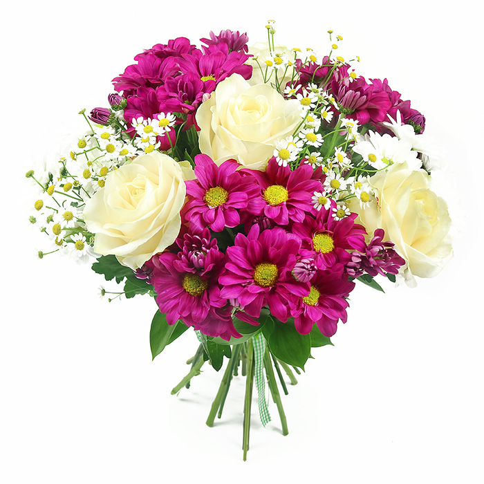 A lush, dome-shaped flower bouquet is shown in sharp focus against a clean, high-key white background, every stem and petal crisply defined as if displayed on the counter of a Clerkenwell florist. At its heart, four generous roses in creamy white and soft ivory with a gentle wash of pale yellow are fully open, their velvety petals overlapping in precise spirals that create a classic, almost timeless focal point. Intermingled with the roses, abundant chrysanthemums in rich magenta and fuchsia shades fill the arrangement, each bloom formed from a ring of slim petals radiating from a bright yellow or golden-green centre, giving a cheerful, daisy-like appearance that instantly lifts the mood. Scattered throughout are delicate sprays of tiny white daisies or feverfew-style flowers, made up of miniature white petals surrounding small sunny yellow cores, introducing a fine, airy texture that lightens the composition and evokes the feel of a wildflower patch tucked behind a townhouse off Rosebery Avenue. Deep and mid-green foliage frames the bouquet, with the more structured rose leaves and broad chrysanthemum foliage creating a verdant backdrop that enhances the brightness of the blooms. The stems, cut clean and even, are tightly gathered at the bottom and bound with a green and white gingham ribbon, a simple, charming detail that suggests a hand-crafted, made-in-Clerkenwell approach rather than something mass-produced. The lighting is bright and even, creating only gentle shadows that accentuate the roundness and fullness of the arrangement, while allowing every colour and texture to stand out clearly. This bouquet conveys an atmosphere of thoughtful joy, perfectly suited for marking milestones, sending a warm thank you, or bringing a splash of colour into homes and studios across Clerkenwell.