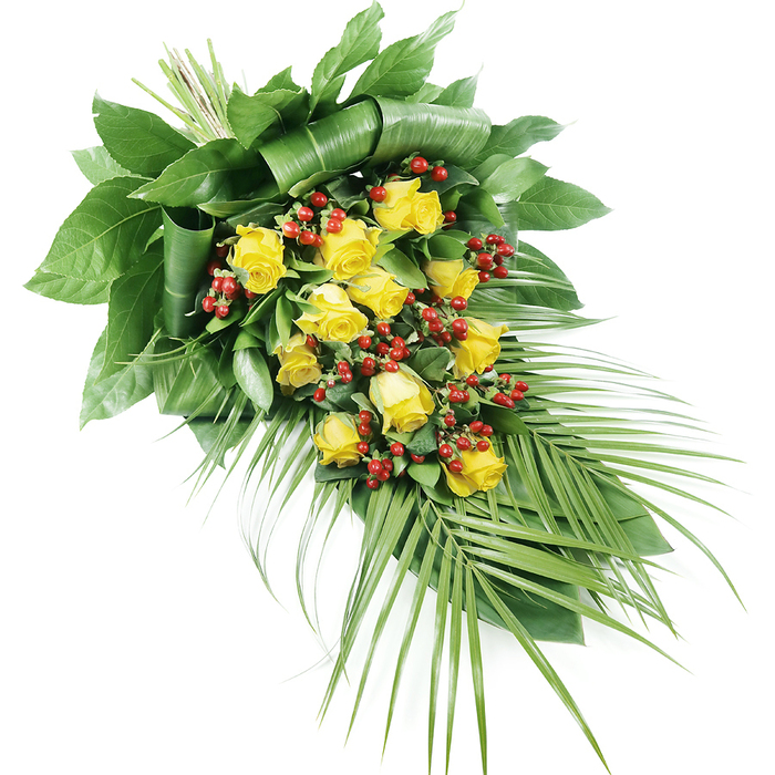 An elongated coffin spray of yellow roses and red berries stretches diagonally across a pristine white background, its elegant lines and detailed textures clearly visible. The design begins at the top left with a dense cluster of roses and foliage, then gently narrows as it flows towards the lower right. Approximately fifteen yellow roses, each at a different stage of opening, form the central focus. Their petals, from tight inner whorls to softly spreading outer layers, create a play of light and shadow in tones of buttery cream and deep gold. This warm palette brings a delicate optimism to a piece intended for sorrowful moments, much like stepping from Clerkenwell's busy streets into a quiet side alley or courtyard. Interspersed among the roses are numerous clusters of small, rounded red berries, likely Hypericum. Their lustrous, deep red hue stands out sharply against both the yellow blooms and the surrounding green leaves, adding a tactile, almost beaded texture to the design. The foliage itself is rich and varied. At the thicker end of the spray, broad, dark green leaves are layered and sometimes folded, building a solid base that hints at the secure binding of stems beneath. As the arrangement extends downward, long, slender palm fronds emerge, their fine, pointed segments splaying out gracefully to create a soft, trailing finish. The craftsmanship suggests careful, practiced hands, such as those at Clerkenwell Flowers, used to shaping tributes that balance beauty and sincerity. The overall mood is dignified and calm, a floral composition ideal for funerals, memorials, or cremation services throughout the EC1 area, offering a tender visual expression when words are difficult.