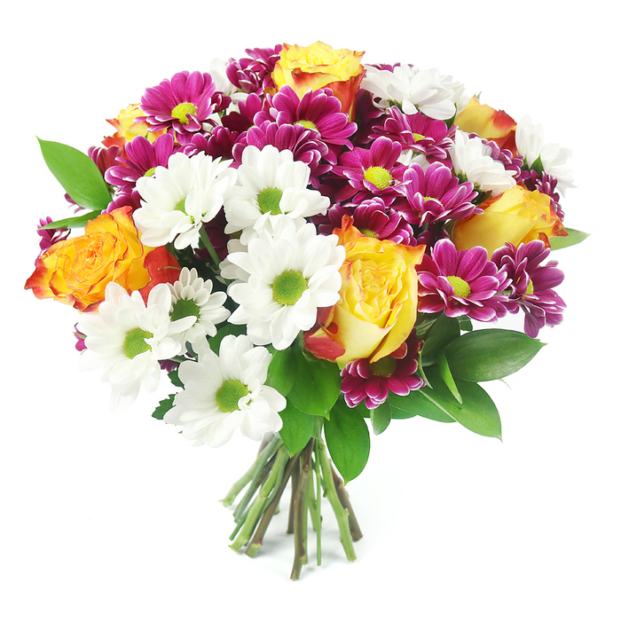 A lavish mixed bouquet is shown front-on against a clear white background, as if resting on a minimalist table in a Clerkenwell loft. The flowers are gathered into a dense, rounded dome, so full that the viewer sees almost no gaps between the blooms. At the centre of this colourful cluster, several large roses stand out, their petals showcasing a beautifully smooth gradient from sunny, golden yellow at the heart to warm, flame-like orange and soft reddish tones at the tips. These roses provide a sense of warmth and elegance, like the glow of evening lights along Clerkenwell Road. Encircling and weaving among them are fresh white daisy chrysanthemums, their petals arranged in perfect rings around vivid lime-green centres. These centres add a lively, almost citrus-bright note that enlivens the whole design. Nestled throughout are generous clusters of small magenta and fuchsia chrysanthemums, their tightly layered petals forming button-like blooms with cheerful yellow-green cores. These jewel-toned flowers lend a rich depth and playful vibrancy, echoing the creative spirit of nearby design studios. Dark green, glossy foliage peeks from between the blossoms, offering contrast and structure while enhancing the bouquet's rounded silhouette. At the bottom of the composition, the stems are neatly gathered together, clean-cut and visible against the white background, reinforcing the impression of a freshly tied bouquet ready for same-day delivery. The overall mood is light-hearted yet refined, conveying joy, appreciation, and a sense of occasion, whether the flowers are destined for a birthday celebration, an anniversary dinner, or a simple thank-you in one of Clerkenwell's historic townhouses.