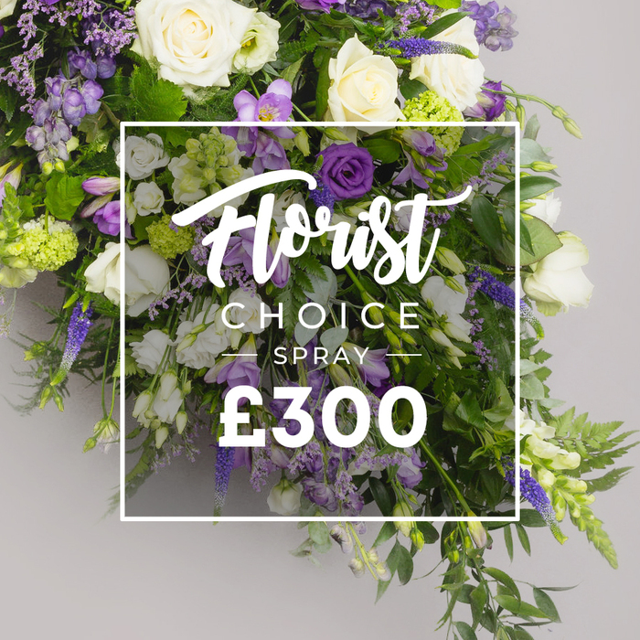 An elongated gracefully cascading floral spray designed as a funeral tribute rests against a soft neutral grey backdrop in Clerkenwell. The arrangement harmonizes pristine whites and purples with several large ivory roses opening at the core, flanked by white lisianthus and delicate freesias. Rich purple blooms thread through the composition deep lisianthus and lilac eustoma while slim blue violet veronica rises to create vertical movement. Faint sprigs of lavender stock provide wispy texture and a lush bed of greens ferns and broad glossy leaves give the spray depth and life. Interspersed light green viburnum clusters add a fresh accent. A prominent white overlay frames the center with a flowing script on top reading Florist Choice and below SPRAY in bold uppercase; the price ?300 appears in large white numerals. The overall effect is sophisticated and ceremonial a bespoke design that reflects Clerkenwell Flowers attention to seasonal pairing and balance. Ideal for funeral arrangements or sympathy tributes in Clerkenwell nearby Farringdon Exmouth Market where families seek a dignified expression of love. The image radiates calm abundance crafted with foliage to lie gently on a coffin or accompany a memorial in a quiet corner of the city.