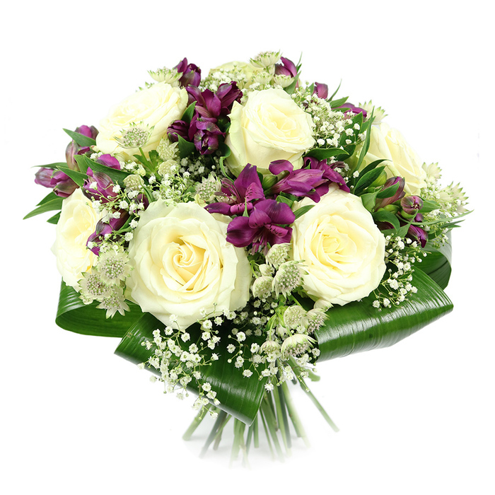 In this image, a refined floral bouquet is captured against a clean white studio background, its rounded, compact shape giving a sense of completed harmony. The eye is first drawn to several large creamy white roses positioned at the centre, each bloom fully open with carefully layered petals spiralling gracefully inward. Their soft, velvety texture and gentle ivory tones evoke purity and quiet luxury, like a peaceful Sunday morning walk through Clerkenwell's leafy squares. Nestled closely among the roses are clusters of deep purple and magenta alstroemeria, their elongated petals and subtle markings adding visual rhythm and depth. Some of these Peruvian lilies open wide to reveal intricate patterns, while others remain in tight buds, hinting at the days of enjoyment still to come. Sprays of delicate white gypsophila weave through the entire design, filling the small gaps between larger flowers and creating a fine, cloud-like veil that softens every edge. Interspersed with them are pale green-white astrantia blooms, instantly recognisable by their star-shaped bracts and textured centres, contributing an understated wildflower charm, as though plucked from a garden close to Clerkenwell Green. The arrangement is expertly finished with broad, shiny aspidistra leaves, folded and wrapped around the base to form a structured, dark green collar that neatly frames the blossoms and conceals the binding point. Below, the clustered stems are visible, tidy and parallel, confirming it as a carefully tied hand bouquet. The overall impression is one of understated elegance and thoughtful craftsmanship, perfectly suited to flower delivery in Clerkenwell for anniversaries, sympathy tributes, or meaningful congratulations.