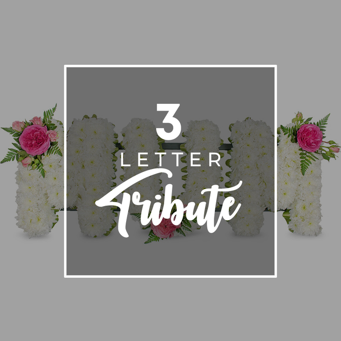 A thoughtfully composed photograph presents a series of floral letter tributes against a soft, neutral grey background, the kind of modern studio setting often used by Clerkenwell Flowers to show the detail of their funeral work. Dominating the centre of the image is a bold, white rectangular frame, laid over the flowers like a window into the tribute itself. Inside this frame, crisp white text reads 3 LETTER in a clean sans-serif font, with the word Tribute written below in a larger, graceful script, immediately explaining the nature of the design. Beneath this overlay, you can see several large standing letters, each one densely covered in pure white chrysanthemums. The blossoms are so tightly placed that no gaps are visible, giving the letters a smooth, padded appearance that suggests both care and quiet luxury. Along the top edges of some of these letters, clusters of bright pink roses and paler spray roses have been arranged, interspersed with delicate green fern leaves that curl gently at the tips. The vivid fuchsia tones of the main roses provide a striking contrast against the snowy white petals, while the lighter pink buds hint at tenderness and youth. Although the central three letters are partially obscured by the frame and text, their strong shapes read clearly as a traditional tribute, the kind of floral lettering used to spell MOM, DAD, or a loved one's initials. At the edges of the frame, more white chrysanthemum letters appear, only partly visible, hinting at a larger word just out of sight. The lighting is even and soft, with no harsh shadows, allowing every petal and frond to be appreciated, much as a family might study the details of a tribute before it is taken to a funeral service near Clerkenwell Green or the historic churches around St John Street.