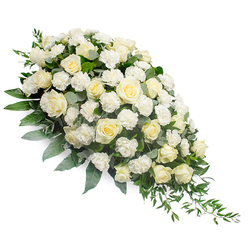 Against a clean white backdrop, a luxurious funeral spray in a soft crescent shape stretches diagonally from the upper left to the lower right, like a quiet stream of white blooms flowing across the image. At the heart of the design are numerous white and creamy ivory roses, some small and tightly furled, others fully open with layered petals forming deep, cup-like centers that seem to cradle the light. Interwoven among them, clusters of white carnations bring a delicate, feathery texture, their frilled edges softening every gap so the arrangement feels dense yet gentle. Underneath and around the blossoms, lush greenery provides a subtle frame: silvery eucalyptus leaves introduce a cool, misty tone, while darker green ruscus stems thread through and extend beyond the base, trailing in a slender line that defines the teardrop point. The flowers appear freshly cut, as if just prepared in a Clerkenwell workshop off Farringdon Road, ready to be delivered quietly to a nearby chapel or memorial venue. The design speaks of calm and consolation, its white and cream colours symbolising peace, purity and the tenderness of cherished memories. It would be an appropriate tribute to rest on a casket or stand beside a photograph of the departed, offering comfort when words feel insufficient. The overall impression is of expert craftsmanship and deep respect, a thoughtfully composed sympathy spray that honours a life with quiet grace.