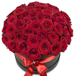 Elegant and commanding, this luxurious bouquet of deep red roses sits atop a sleek matte-black hat box, its domed shape formed by dozens of meticulously nestled blooms. Each rose, chosen for its rich crimson hue and velvety texture, appears almost luminous against the clean white background-an effect amplified by the careful play of light and shadow that reveals the intricate, gently unfurling petals. The arrangement envelops the senses, suggesting the quiet bustle of Clerkenwell streets on a romantic evening and the timeless allure found in the heart of London. Encircling the box's rim, a glossy red satin ribbon is knotted into an immaculate bow at the front, its center adorned with a subtle but shimmering crystal embellishment-like a secret kept for only the most attentive admirer to notice. The stature and fullness of the bouquet evoke generosity, while the refined touches hint at celebration and cherished moments. Whether destined for a sunlit studio overlooking St John's Square or an intimate celebration near Farringdon Road, this floral creation is perfect for marking unforgettable occasions-anniversaries, proposals, or heartfelt gifts crafted by expert local florists with an understanding of Clerkenwell's unique rhythm and charm.