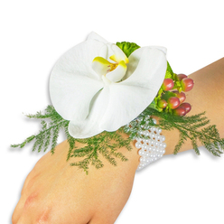 Like a small poem of white and green, this wrist corsage sits on fair skin against a clean white field, inviting a slow, attentive glance. The focal point is a pristine Phalaenopsis orchid whose broad, velvety petals unfold with the soft assurance of classic floral beauty; its central lip glows with a concentrated wash of yellow and a hint of orange that feels warm against the cool white of the bloom. Encircling the orchid, feathery asparagus fern creates an almost lace-like atmosphere, the fine fronds catching light and offering a delicate frame that seems to float around the flower. A cluster of round Hypericum berries nestles to one side, their surfaces glossy and alive with colour that travels from pale green to blush and ultimately a rich cranberry - a subtle narrative of ripeness. A sprig of ruffled lime-green foliage beside them adds brisk texture and a modern contrast. The piece is anchored by a classic multi-strand bracelet of tiny white pearls, each bead reflecting a soft sheen as it rests against the wrist, lending the arrangement a sense of timelessness and comfort. The white background strips away distraction so the craftsmanship-careful wiring, balanced scale, and considered colour shifts-stands clear. In tone this corsage is quietly romantic and suitable for weddings, proms, or elegant receptions; it reads as handcrafted with experienced hands familiar with Clerkenwell's intimate occasions, perfect for someone seeking subtle luxury and tactile grace.
