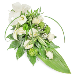 As a carefully assembled sympathy spray, this elongated floral composition marries quiet formality with fresh, living texture. A cluster of creamy white roses, each unfolding petal like a gentle exhale, is set among vivid green button chrysanthemums that bring an unexpected, almost sculptural lime-pop to the pallet. Two pristine white calla lilies, their trumpet-like cups almost luminous, punctuate the upper left and invite the eye to travel down the cascade. Sprays of delicate baby's breath thread through the arrangement, catching light like soft confetti and softening the transitions between stronger shapes. The greenery is thoughtful and layered: deep evergreen leaves offer a glossy backdrop, variegated foliage with narrow white stripes introduces crisp highlights, and fern fronds feather the top edge with woodland grace. Long, arching blades of bright green foliage sweep across the face of the spray, adding a contemporary curve, while a single broad tropical leaf forms the smooth, pointed base that anchors the design. A subtle cream ribbon bow at the top provides a gentle, formal touch. Arranged with steady hands and an eye for proportion, this spray reads as a respectful tribute suitable for memorials and funeral services across Clerkenwell, from St Johns Square to the quieter lanes near Smithfield Market. The overall effect is one of calm dignity, fresh fragrance and tactile contrast, a floral statement that balances tradition and modern restraint.