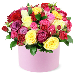 Radiant and romantic, this hatbox arrangement gathers yellow sunlit roses with bold crimson, soft pink, bright fuchsia, magenta, lavender, and creamy white blooms into a dense, layered display. The large blossoms unfurl in ruffled petals while spray roses and tight buds add texture and movement. The pastel pink container with a smooth, matte finish provides a modern edge that complements the bouquet's exuberant mood. A clean white background allows the colours to glow like a window into a spring garden. Created in Clerkenwell, the arrangement speaks of warmth, craft, and thoughtful design, making it an ideal gift for birthdays, anniversaries, or celebrations that call for a bright, uplifting gesture. It is available for same-day delivery across Clerkenwell and neighbouring areas such as Farringdon, Islington, and Holborn, helping you share joy with friends and colleagues. Notice how the deep green foliage weaves through the blooms, giving depth and a natural counterpoint to the pale pink box. The fragrance of roses lingers softly, while the refined styling communicates care and artistry. This bouquet is a confident expression of celebration, suitable for deliveries to homes, offices, or events across central London, bringing a splash of colour to any room.