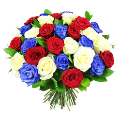 A dense, spherical cluster of roses in red, white, and royal blue fills the image, the blooms arranged so closely that almost no gaps are visible between them. The crimson roses are rich and velvety, their petals curling inward in tight spirals, while the white roses add a soft, luminous contrast, like folded cream satin. Punctuating the arrangement are vivid blue roses, their intense sapphire shade lending a modern, almost artistic edge to this otherwise timeless composition. Here and there, polished dark green leaves peek from beneath the petals, framing the colours and adding a natural depth that keeps the bouquet from feeling too rigid. The stems are gathered and trimmed evenly at the bottom, a classic hand-tied finish that speaks of a professional florist's touch, the sort you might expect from a studio just off Clerkenwell Green. Set against a pure white background, every hue appears heightened, the bouquet reading instantly as a patriotic tribute or celebratory gift-ideal for marking national events, honouring service, or offering a bold gesture of admiration to someone in EC1 or nearby Smithfield. The overall mood is uplifting and purposeful, as though each rose has been placed with care to express unity, courage, and collective pride. You can almost imagine this arrangement being carried through the streets around St John Street, ready to become the focal point of a gathering, a remembrance, or a joyful toast shared with family and friends.