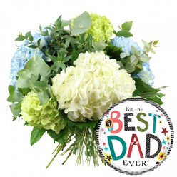 Set against a bright white backdrop, this image shows a thoughtful Father's Day bouquet and balloon pairing that feels both modern and heartfelt, as if arranged in a quiet Clerkenwell studio off St John Street. Dominating the upper left and centre, a lush hand-tied bouquet of hydrangeas forms a generous, domed silhouette. The main blooms are large, rounded heads of creamy white hydrangeas, their many tiny petals packed tightly together, giving the impression of soft cushions you could almost sink your fingers into. Around them, clusters of pale blue hydrangeas lend a cool, serene note reminiscent of an early morning sky over Clerkenwell Road, while vibrant lime green hydrangeas tucked at the sides keep the design fresh and energetic. Between the blooms, you can see plenty of foliage: soft, silvery eucalyptus discs, slender stems, and deeper green leaves that add structure, shadow, and a subtle sense of fragrance. The stems of the bouquet are visible at the bottom, neatly gathered and tied, showing the craftsmanship of a professional florist who has just finished preparing a special delivery. To the lower right, overlapping part of the flowers, floats a round, shiny foil balloon with a white centre framed by black-and-white striped bands. Across its face, in cheerful, mixed fonts, the message reads "For the BEST DAD EVER!" The words "BEST" and "DAD" are playfully decorated in patterned reds, greens, teals, and polka dots, highlighted by a small "No. 1" rosette and surrounded by colourful stars and confetti-like dots. The combination of cool-toned hydrangeas and the bright, graphic balloon creates an uplifting, celebratory composition, ideal for sending love to a dad in Clerkenwell on Father's Day or his birthday.