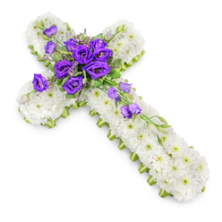 A serene floral cross, carefully arranged as a funeral tribute, is shown resting against a stark white background that allows every petal and stem to be clearly seen. The entire cross is constructed from hundreds of small white chrysanthemums, each blossom fresh and open, creating a plush, cloud-like texture from the top of the vertical arm to the tips of the crosspiece. Their snow-white petals symbolise purity and peace, while the tiny green eyes at the centre of each flower lend a gentle, living warmth to the design. Running along the sides of the cross, a tidy lime-green ribbon or edging ribbon defines the silhouette, giving a precise finish that speaks of professional craftsmanship you might expect from an experienced Clerkenwell florist familiar with local churches and crematoria. At the intersection of the arms, a bold cluster of deep purple lisianthus forms the emotional core of the arrangement. These velvety flowers, some fully open and some still in bud, are gathered with light, airy foliage and a few fine, green tendrils that soften the edges. Their regal colour is striking against the white chrysanthemum base, evoking reverence, sorrow, and respect. From this central gathering, a trailing line of purple lisianthus blooms extends gracefully down the right-hand side of the cross, suggesting a gentle flow or blessing. The photograph's gentle overhead angle and soft shadow beneath the piece lend depth and clarity, as if the cross were laid out on a preparation table in Clerkenwell, ready to be delivered as a thoughtful expression of sympathy to a church, chapel, or graveside service.