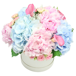 In this bouquet the colours feel like a memory of an early morning sky, translated into soft pinks and pale blues as if a dawn breeze had gathered around the blooms. The arrangement is shown in a smooth, understated cylinder that lets the blooms speak. Hydrangea clusters are full and pillowy, balancing the intricate, ruffled peonies whose petals seem to hold light within them. Sprigs of cream and blush spray roses peek through, their scent faint but sweet, creating an air of romance and reassurance. The two calla lilies are trumpet shaped and a deeper pink, rising above the mass to add quiet drama. The palette shifts from light pinks to cool blues, with soft green foliage nodding through to provide depth. A touch of silvery dusty miller peeks through the foliage to lend a modern, ethereal edge. This bouquet feels intimate enough for a birthday or baby shower, yet generous enough to serve as a refined centerpiece for a dinner party. It is the kind of arrangement a Clerkenwell florist would craft with an eye for line, balance, and the way light travels across petals. The cylinder vessel elevates the bouquet, giving it a contemporary, architectural presence that suits homes in Clerkenwell, Farringdon, and Barbican. We offer same day delivery across Clerkenwell and neighbouring districts, ensuring the blooms arrive fresh and vibrant for celebrations, sympathy, or simply brightening a day. Clerkenwell Flowers brings a local, craft-focused touch to every stem, and this piece is no exception.