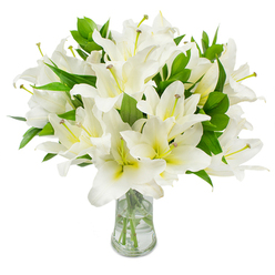 A large, meticulously curated bouquet of white lilies sits in a clear glass vase, every bloom arranged to display its layered, silky petals and soft, luminous white surfaces. Each lily reveals a subtle warm throat of pale yellow-green, the depth at the center accentuating the petals' pristine tone. Slender stamens reach from the heart of open blossoms, their pale filaments tipped with muted brown anthers that add fine, tactile detail against the bright petals. Dark green, elongated leaves thread through the flowers, their glossy veins and firm texture providing essential contrast and volume. The vase is simple and transparent with a gently flared rim; through the clean water you can see the freshly cut stems descending in neat lines, a visual promise of recent harvest and attentive care. Bathed in soft, even light on a stark white background, the arrangement reads as both refined and profoundly calm-the kind of bouquet often chosen for moments of remembrance, quiet celebration, or to grace a reception desk near Farringdon Station. As florists at Clerkenwell Flowers we recognise how the lilies' understated fragrance and sculptural form can transform a room: they offer purity without ostentation and a comforting stillness when placed near St John's Square or delivered to a home on Clerkenwell Green. The overall impression is one of serene craftsmanship, freshness, and gentle reassurance, a floral statement of respect, sympathy, and tasteful elegance.
