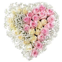 Elegant heart-shaped floral tribute made entirely of roses and baby's breath, shown against a bright white background to emphasise its contours and colours. The heart is perfectly formed and visually divided into two even halves, creating a quiet tension between light and soft colour that feels deeply poignant. On the left half, tightly grouped creamy ivory to pale yellow roses nestle shoulder to shoulder, each bloom fully open yet still compact, their satin-like petals curling softly at the edges. On the right, the same dense texture continues with a field of medium pink roses, the shade reminiscent of a gentle blush, giving the piece a tender, loving character. Throughout the heart, and especially along the central divide where the two colours meet, delicate sprays of white baby's breath weave in and out, filling any small gaps and softening the transitions. More gypsophila traces the outline of the heart, forming a feathery border that adds lightness to the solid mass of roses. The composition feels calm and composed, ideal as a funeral or memorial tribute for services in and around Clerkenwell, from quiet gatherings near Exmouth Market to ceremonies by the historic churches and halls of the area. With its balanced symmetry and careful craftsmanship, the arrangement speaks of enduring bonds, making it a meaningful choice when words are hard to find. Though the image keeps its focus on the flowers alone, the design clearly reflects the practiced hands of a local florist who understands how to translate emotion into a simple, beautiful heart of roses.