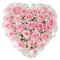 Imagine a dense heart crafted entirely from pale pink roses, each bloom positioned so closely that the overall surface reads as a velvety expanse of pastel petals. The pinks vary gently - the outer petals carry a cool, blush whisper, while inner spirals hold a warmer rose glow - creating a quiet, soothing gradation across the heart. Interlaced among the roses, tiny white gypsophila blooms float like spun sugar, their airy clusters softening edges and lending an ethereal, lace-like filigree that makes the silhouette sing against an immaculate white backdrop. Lighting is bright and clean, highlighting the fresh, moist sheen of petals and the subtle shadows between densely packed flowers, so each rose reads as both individual and part of a unified whole. The composition feels private and reverent, a handcrafted statement of enduring affection suited for anniversaries, Valentine's surprises, wedding decor, or as a tender sympathy piece. A florist's hand is evident in the symmetry and the balanced use of baby's breath to introduce lightness without diminishing the roses' presence. There's an almost audible hush to the image - the imagined brush of hands arranging stems, the soft scent of rose oil in the air - making this heart arrangement a quietly powerful emblem of love for anyone receiving it in Clerkenwell or nearby Leather Lane and St John Street.
