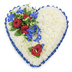 Large, heart-shaped chrysanthemum tribute arranged as a serene memorial piece, shown from a bird's-eye view so every detail of the craftsmanship is visible. The heart itself is filled edge to edge with pristine white chrysanthemums, each tiny floret perfectly aligned to create a smooth, quilted effect, like a soft white cushion of petals. Encircling this cloud of white is a royal blue satin ribbon, pleated into gentle ruffles that frame the heart and provide a rich, jewel-toned contrast. In the upper left section rests a striking spray of flowers: three deep red roses open in full, their velvety petals layered and luxurious, surrounded by dark green foliage that adds structure and depth. Cascading from this cluster are vivid blue dendrobium orchids, their slender stems arching gracefully over the white mums, with each flower shaped like a small star and touched with hints of turquoise and purple. Delicate green curls and tendrils wind between the orchids, lending a natural, slightly trailing movement that softens the design. Near the lower right curve of the heart, a single red rose head is set alone on the chrysanthemum bed, mirroring the intensity of the upper spray and creating a poignant sense of balance. The overall impression is of quiet dignity and heartfelt sympathy, the kind of floral tribute a family in Clerkenwell might choose for a funeral at a local church or crematorium. The fresh flowers, rich colours, and careful detailing evoke love, respect, and a gentle farewell that feels deeply personal and carefully considered.