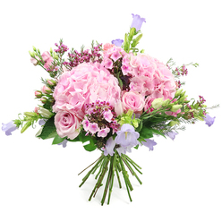 Against a crisp white backdrop, this romantic bouquet seems to float, its soft pinks and lilacs evoking an early summer stroll through the quieter streets off Clerkenwell Green. Two large, rounded heads of blush pink hydrangea anchor the composition, each one a tapestry of tiny petals pressed closely together, creating a plush, cushion-like texture your fingers can almost feel. Around and between them, pale pink roses unfold with classic grace; some blossoms are fully open, revealing layered spirals of petals, while others remain in charming bud form, adding a sense of gentle anticipation. Slender stems of bell-shaped flowers, reminiscent of lavender campanula, peek out in pastel shades of lilac and light purple, their delicate cups tilting in different directions to give the bouquet height and a sense of natural movement. Scattered through the design, clusters of deeper fuchsia and rich pink filler flowers add depth and a hint of playfulness, like small fireworks among clouds. A generous collar of fresh green leaves frames the blooms, while fine buds and stems add structure and a feeling of freshly gathered abundance, much like flowers brought in from a garden near Spa Fields. The stems are clearly visible at the base, neatly hand-tied to form a rounded, ready-to-gift bouquet. The overall effect is soft yet uplifting, perfect for marking a birthday, welcoming a new baby, or sending quiet affection with same-day delivery to homes and studios around Clerkenwell, Farringdon, and the nearby creative quarters.