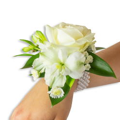Soft, even lighting reveals an elegant wrist corsage resting on a light-skinned wrist, angled upward from the lower right of the frame toward the center against a pristine white background. The composition is dominated by a perfectly bloomed creamy white rose at its centre, petals layered with plush, velvety texture that reflect a gentle, warm sheen. Just below and a touch to the left, a larger trumpet-shaped white blossom-likely alstroemeria-opens to show a subtle green-yellow throat that adds a delicate, natural highlight amid the whites. Interspersed are small green buds, poised and compact, and clouds of tiny gypsophila that give the piece an ethereal, breathy quality. A small cluster of daisy-like white florets with bright yellow centres rests nearer the wrist, offering a charming, cheerful detail. Deep green, glossy leaves with smooth, waxy surfaces frame and support the blooms, creating a rich backdrop that enhances the purity of the whites. The arrangement is secured by a tasteful multi-strand pearl bracelet; the round pearls are luminous and cool to the touch, encircling the wrist and adding classical refinement. As a local florist I imagine this design made in our Clerkenwell workshop for intimate weddings near Exmouth Market or for graduation nights heading toward Leather Lane; the scent is faintly floral and powdery, the construction balanced and comfortable. Clerkenwell Flowers often crafts this style for clients who want a timeless, softly romantic wristpiece for special celebrations in the neighbourhood.