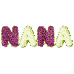 Set on a clean white field, a striking, three-dimensional floral spelling of NANA is composed with slow, exacting hands. The two N letters are formed from densely clustered, deep magenta to plum chrysanthemums - each tiny bloom tipped with a pinpoint of yellow - producing a rich, velvety surface that reads as warmth and devotion. The intervening A letters contrast in pristine white or soft cream chrysanthemums, their clustered petals creating a calm, airy counterpoint that balances the design. Around each letter a vivid lime-green edging - worked as pleated ribbon or closely placed foliage - ripples like a thin green frame, lifting the letters visually and giving a fresh, natural border to the sculpted flowers. The arrangement carries a faint, clean chrysanthemum fragrance and a tactile richness: slightly raised letterforms, densely packed heads, and neat, hand-tucked stems beneath the ribboned edge. Gentle light from one side catches the petals' curves, casting soft shadows that accentuate the letters' depth and handcrafted quality. This personalised piece is a classic sympathy or memorial tribute, chosen to honour a cherished grandmother at a chapel or graveside service, and would travel sensitively across Clerkenwell and nearby Farringdon for funeral placement. The colour rhythm - plum, cream, plum, cream - reads as affectionate and dignified, an embroidered sentence in flowers that comforts family and friends as they remember and celebrate a life.