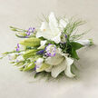 This fresh bouquet is presented horizontally on a soft beige fabric, its calm palette recalling early summer light over Clerkenwell Green. White lilies dominate the scene - some trumpets opened fully to display luminous, creamy centres and golden stamens with tiny dark speckles, while others remain as pale green buds, quietly promising the next stage of bloom. Around them, white lisianthus edged with a delicate lavender-purple blush offer ruffled movement, their petals catching the light and creating subtle contrasts against the lilies' smooth satin surfaces. Wisps of fine, fern-like greenery and broader deep-green leaves provide structural depth, tucking around stems to support the blossoms and give the arrangement a lush fullness. Scattered throughout are miniature white filler sprays, akin to baby's breath, which lend an ethereal softness and make the bouquet feel weightless. The stems are gathered and tied at the right with a crisp white satin ribbon, a simple finishing touch that speaks of careful hand-tying and makes the piece suitable for carrying or for a refined tabletop display. The composition feels tranquil and restorative, its scent imagined as a gentle floral note that suits weddings, anniversaries, and quiet celebrations. As a local craft from Clerkenwell, this arrangement reflects neighbourhood sensibilities - finished with the understated grace you might find after a stroll past the markets on Leather Lane or a calm morning in St John's Square.