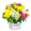 A richly packed bouquet of fresh flowers rises from a sharp-edged white cube box, photographed against a pure white background that emphasises the vivid interplay of colour and form. The arrangement is shaped into a generous, rounded mound, so full that the blooms seem to press gently against one another, creating a sense of abundance and friendly warmth. Dominant yellow chrysanthemums and clusters of small yellow roses form the heart of the design, their layered petals and new buds capturing the feeling of midday sunshine on the quiet streets off Clerkenwell Road. Scattered among these are white daisy-style chrysanthemums with bright green centres and fluffier white mums, which cool the palette and lend an airy lightness to the overall composition. Bold strands of fuchsia and magenta chrysanthemums run through the bouquet, some petals dipping into softer pinks, adding a modern splash of drama that would stand out beautifully in a Clerkenwell café or design studio. Deep green, glossy foliage fills the spaces between each flower head, circling the base and peeking through the top to give structure and definition, while also intensifying the brightness of the blooms. The simple white cube that serves as a container keeps the focus firmly on the flowers, offering a sleek, contemporary touch that matches the neighbourhood's mix of historic buildings and modern architecture. Visually, the arrangement speaks of cheerful occasions - birthdays, thank-yous, or just-because gestures - and evokes the feeling of a fresh, uplifting delivery arriving at a flat near Exmouth Market or an office close to Farringdon station.