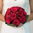 This bridal bouquet presents a close, intimate view of generous red roses and ruby-toned hypericum berries, arranged into a compact, rounded design that feels both luxurious and timeless. Each rose is fully open yet still crisp at the edges, with petal after petal forming soft, sensual spirals of cardinal red, the kind of colour that immediately calls to mind deep romance and heartfelt promises. Between the rose heads, clusters of small, rounded berries in matching red tones sit on slender stems, their surfaces smooth and almost reflective, like drops of lacquer caught in the light. These berries bring a hint of playfulness and texture, breaking up the velvety mass of petals and adding visual rhythm. The bouquet is framed by broad aspidistra leaves, folded and shaped to create a green cuff that encircles the blooms. Their deep, glossy green sets off the richness of the red, anchoring the arrangement and giving it a contemporary edge well suited to a city wedding near Clerkenwell Green or a reception by Farringdon station. Subtle, soft lighting bathes the bouquet, revealing each curve of petal and each vein in the foliage, as though you could trace them with your fingertips. The impression is of something carefully, lovingly crafted by local hands at Clerkenwell Flowers, ready to be delivered across EC1 for an elegant ceremony. It is a bouquet that suggests warmth, passion, and the calming reassurance of something beautifully made for one of life's most meaningful days.