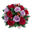 A richly coloured, dome-shaped bouquet sits against a clean white background, captured from a slightly top-down angle to show its compact, hand-tied silhouette. About a dozen fully opened roses form the heart of the arrangement, balanced between velvety deep red blooms and softer lavender-mauve roses whose spiralled petals unfurl with a porcelain-like grace. Between the heads of the roses, clusters of small, orange-red rose hips give a bright, woodland punctuation-glossy, rounded berries that catch the light and introduce a playful, natural texture against the smooth petals. Dark, glossy green leaves-likely ruscus or similar foliage-nestle and curve around each stem, their cool green sheen framing the flowers and adding depth to the composition. Near the lower centre, a small white gift tag peeps out from beneath the blooms; the single word flower is written in a graceful red script, a personal flourish that reads like a quiet promise from someone who chose this as a gift.
The lighting is soft and even, the white background clarifying colour contrasts so the reds feel warm and immediate while the lavender roses bring a gentle, contemporary calm. Imagine the scent as a soft mix of rose perfume and leaf-amber, springing to life like morning air in a quiet Clerkenwell courtyard near St John's Square. This bouquet reads as romantic and refined-an ideal present for anniversaries, a thoughtful apology, or to mark a birthday with understated elegance. Its blend of classic passion and modern softness makes it as suitable for an intimate dinner at home as for delivery to a loved one in the local area.