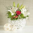 This floral arrangement looks as though it has been composed in a calm Clerkenwell loft, with soft daylight washing across each petal and leaf. A white, lattice-woven basket cradles the design, its sculptural shape echoing the crafted lines of nearby design studios and galleries around Clerkenwell Road. From this base, tall white lilies rise with quiet drama, some still in elegant bud and others fully open, their wide petals creating creamy, star-like forms that suggest purity and gentle celebration. Below them, rich ruby-red roses gather in a cluster of romance and depth, the folds of their petals catching subtle shadows. Cushions of bright green dianthus nestle between the blooms, their finely ruffled texture adding a fresh, mossy softness that feels almost tactile. Glossy red hypericum berries peek out like polished beads, interspersed with wisps of ferny foliage and delicate sprays of gypsophila that lend an airy, almost cloud-like effect. The overall composition feels balanced and intentional, with every curve and angle designed to draw the eye upward and outward. There is a quiet sense of reassurance about the bouquet, perhaps destined for a small wedding breakfast in a Clerkenwell townhouse, a civil ceremony at Islington Town Hall followed by a reception nearby, or a thoughtful delivery to an office around Farringdon to mark a promotion, a farewell, or a moment of sympathy. Though motionless, the stems seem to breathe with life, offering a fragrant, comforting presence that speaks when words might fall short.