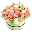Soft morning light seems to settle across this rounded hatbox bouquet, where a cream-coloured, matte-finish box with two thin dark bands cradles a domed cluster of plush blooms. The arrangement reads like a gentle sunrise: large velvety roses fade from warm coral-peach and apricot at their hearts to blush pink and creamy ivory toward the outer petals, their layered folds catching the light with a subtle sheen. Between them, ruffled baby-pink carnations nestle close, their frilly edges creating soft movement and a cushiony texture that invites the fingertips. Sparse sprigs of fresh green foliage, with small elongated leaves, peek through the petals and add bright punctuation that lifts the palette. The composition is tightly packed yet airy at the edges, revealing the careful hand of a florist who has shaped the dome to feel abundant without losing refined balance. Against the pure white background every nuance of colour and petal shape reads clearly, from the tight buds waiting to unfurl to the fuller roses offering gentle curves. There is also an understated, comforting scent suggested by the arrangement - a light powdery sweetness with a fresh green lift - conjuring an early summer garden after rain. This hatbox bouquet, elegant and poised, suits birthdays, anniversaries, or quiet celebrations of gratitude; it feels equally at home as a centrepiece on a Clerkenwell dining table or a thoughtful desk surprise in a nearby Farringdon office. The understated urn of cream and black makes it a timeless gift that expresses warmth, affection and careful craftsmanship.