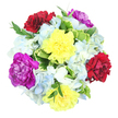 A top-down photograph reveals a round, abundant bouquet set against a pristine white background, allowing every colour and detail to be clearly seen. At the heart of the design sit six prominent carnations, their ruffled petals forming a lively circle of contrasting tones. At least two are a bright, cheerful yellow, radiating the same upbeat spirit you might feel walking past bustling cafés around Exmouth Market. Two others are a deep burgundy-red, their velvety richness adding warmth and a hint of romance, reminiscent of cosy wine bars tucked off Clerkenwell Road. Completing the focal trio, two vibrant magenta-purple carnations bring a regal, artistic flair, echoing the creativity that characterises Clerkenwell's studios and galleries. Nestled closely between these larger blooms are clusters of hydrangeas in misty light blue and soft white. The hydrangea petals are small and numerous, overlapping like tiny silk clouds, creating a gentle, cushiony texture that softens the bouquet's overall look. Interspersed throughout are sprigs of fresh foliage: some leaves are broad and variegated, with vivid green centres bordered by creamy white or pale yellow, while others are slender and dark green, extending gracefully beyond the main mass of flowers to give a sense of depth and movement. The lighting is bright and even, making the colours appear crisp and true to life, as though the bouquet has just been finished at Clerkenwell Flowers and placed under a studio lamp for a final check before delivery. The overall mood is joyful and uplifting, ideal for birthdays, thank-you gestures, or simply sending a burst of colour to someone in Clerkenwell, Farringdon, or the nearby EC1 neighbourhoods.