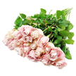 A softly composed image shows a hand-gathered bouquet of around two dozen long-stemmed roses lying horizontally across a bright white surface, as if just placed down on a florist's bench. The blooms cluster together at one side of the frame, creating a lush mass of blush pink petals that drift towards muted dusty rose and the slightest suggestion of pale lavender where the petals curve inward. Many of the roses are still in tight spirals, their centres neatly coiled and full of promise, while others have relaxed into more open, layered blossoms that reveal a velvety texture and gentle depth. The colour palette feels calm and understated, ideal for moments when subtlety is needed, such as sending sympathy flowers to a home near Clerkenwell Green or a quiet office off Farringdon Road. Encircling the delicate heads, an abundance of deep green leaves provides structure and contrast, their slightly glossy surfaces and clear veins signalling freshness and attentive conditioning. The stems extend neatly towards the opposite edge, long, straight, and robust, suggesting these roses were carefully chosen and trimmed. The white background offers a sense of purity and stillness, free from distraction, allowing the eye to linger on the intricate curls of each petal and the interplay between soft colour and rich foliage. Even, diffused lighting reveals every detail without casting hard shadows, contributing to a serene, reflective atmosphere. This bouquet, the kind of refined arrangement created at Clerkenwell Flowers for condolence deliveries across the area, conveys gentle compassion, quiet love, and the enduring grace of simple, pastel roses.