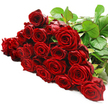 A lavish cascade of deep red roses spans a pristine white background, as if a florist in Clerkenwell has just laid the bouquet down for a final check before delivery. Around two to three dozen long-stemmed roses are spread in a horizontal arc, their heads closely nestled but individually distinct, each bloom showing off its tightly coiled heart of petals. The crimson colour is rich and full-bodied, with nuanced tones that range from classic ruby to a deeper, wine-like red, made more vivid by the clear, even lighting falling across the scene. Some of the roses are fully opened, revealing a complex rosette of velvety petals, while others remain slightly closed, their curves more compact and secretive, suggesting fresh blossoms at the peak of their beauty. Along the upper right edge, and threading discreetly through the roses, strong dark green stems and glossy leaves offer a cool, natural counterpoint to the passionate red, their edges crisp against the white. There are no accessories or distractions in view, only the flowers themselves, presented in a clean, contemporary style that suits nearby design studios and apartments around Old Street and Farringdon Road. The image quietly conveys the language of classic romance-love, passion, admiration, and heartfelt apology-captured in a single lush offering. It feels like the kind of luxurious bouquet you might order for same-day delivery in Clerkenwell to mark an anniversary dinner, celebrate a proposal, or simply let someone know they are cherished with the timeless power of red roses.