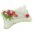 A deeply respectful, hand-crafted sympathy pillow shaped as a soft rectangular cushion and photographed against a clean white backdrop. The entire surface is densely carpeted with hundreds of small, pristine white chrysanthemum heads whose tightly packed petals form a velvety, cloud-like texture suggesting peace and rest. Around the edges a pale lime-green satin ribbon peeks out between blooms, framing the piece with a gentle, fresh contrast. On the top left a concentrated spray of rich red flowers-several velvety roses in stages from tight bud to open bloom-sits amid deep burgundy carnations and clusters of small white accent blooms, likely freesias or spray chrysanthemums, their delicate shapes adding visual lightness. Lush green foliage, including feathery fern fronds and broader leaves, creates depth and a living backdrop for the red blooms. From that upper cluster slender, bright green bear-grass blades arc across the white surface in graceful, sweeping lines that guide the eye toward the lower right corner where a single, perfectly formed red rose rests alone, cradled by the trailing green. The overall composition reads as a measured tribute-white for calm and purity, red for love and remembrance-meticulously assembled to convey solace. You can almost sense a soft, clean floral scent and the quiet dignity appropriate for a funeral service, wake, or memorial. A local florist's touch is evident in the precise spacing, the subtle ribbon edging, and the thoughtful diagonal movement that balances emotion with restraint, making this a classic memorial arrangement for comforting mourners and honouring a cherished life.