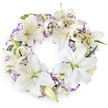 Shown against a luminous white background, this full circular wreath appears like a soft, floral halo, carefully crafted to convey sympathy and remembrance. The main body of the wreath is formed from generous white Oriental lilies, their six broad petals opening in elegant arcs around subtle green throats and upright stamens tipped with warm, cinnamon-brown pollen. Some of the lilies stand fully open, showcasing their star-shaped faces, while others remain partly closed, their buds smooth and pale, suggesting the tenderness of a life's different stages. Threaded throughout are clusters of lisianthus blooms, adding a romantic, layered texture. These smaller flowers display frilled, double petals, white at the base and gradually deepening into edges stained with soft lavender and pastel purple, lending a gentle, cloud-like movement to the design. Beneath the flowers, discreet touches of fresh green foliage and fine, eucalyptus-style sprigs weave in and out, supporting the blooms while bringing a quiet, natural rhythm to the wreath. The colour palette of white and muted purple creates a sense of calm dignity, much like an early morning walk through Clerkenwell's quieter lanes near the old squares and churchyards. Designed for funerals, wakes, and memorial gatherings, this wreath symbolises the unbroken circle of love, remembrance, and peaceful rest. Its balanced, symmetrical form and refined tones make it a respectful tribute for families saying farewell in Clerkenwell, whether at a local chapel, crematorium, or family service, offering a soft, floral embrace during moments of grief.