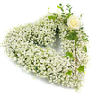 A heart-shaped sympathy wreath formed almost entirely of tiny, cloud-like white Baby's Breath (Gypsophila), each blossom densely clustered to create a soft, feathered surface that reads like a gentle white halo. The compact gypsophila gives the piece an airy, weightless texture, the way early morning mist softens the edges of buildings around Clerkenwell Green. Toward the upper right curve of the heart a single creamy-white rose opens in a tight spiral, its petals carrying the faint, comforting perfume of classic roses and acting as a quiet focal point. Around that rose, glossy variegated ivy leaves with their lobed silhouettes and a few slender, silvery eucalyptus-like sprigs thread through the white, adding cool green contrast and a subtle leaf-scent note. Soft studio light from the left lifts the tiny blossoms into delicate highlights and tiny shadows, revealing the arrangement's depth and handcrafted wiring beneath the blooms. The overall palette is pure whites and muted greens against a clean white background, lending a sense of calm clarity and reverence. This design reads as an intimate gesture of condolence and remembrance, appropriate for a funeral, memorial service, or a private bedside tribute, and it reflects the quiet craftsmanship of a local florist acquainted with Clerkenwell's calm corners and community traditions. The arrangement feels composed to be both dignified and tender, an emblem of enduring love and serene respect during bereavement.