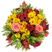 Seen from above, this exuberant autumn bouquet unfurls in a perfect circular medallion of seasonal colour, the composition radiating warmth like an early evening in Clerkenwell. Bright golden-yellow button chrysanthemums form a cheerful, sunlit carpet at the centre, their dense, feathery faces catching light and lending a resilient, tactile quality. Scattered among them are deep burgundy gerbera daisies, their flat, open discs and darker centres offering a striking dramatic counterpoint. Velvet-crimson roses sit proudly, petals rolled into tight spirals that soften into coral-pink and peach roses nearby, creating a gentle blush that calms the palette. Small, star-shaped alstroemeria in cranberry and reddish-brown thread through the arrangement, adding fine detail and a subtle, spicy depth. Broad glossy greenery and variegated light-green leaves with cream-edged margins cradle the blooms, their smooth textures contrasting with the chrysanthemums' plushness. At the edges, a few russet autumn leaves-maple-like and slightly curled-peek out as if gathered from a walk past Exmouth Market or a stroll through Spa Fields, anchoring the bouquet in late-season nature. The scent is muted and soft: faintly sweet with green undernotes, like a shaded garden after sun. Hand-tied with compact density, the bouquet reads as both hearth-warm and elegantly rustic, appropriate for a Thanksgiving table, a cosy autumn wedding, or a thoughtful birthday gift that says gratitude. A skilled florist's touch is evident in the balanced colour story and layered textures; every stem contributes to a mood of comfort, harvest abundance, and quiet celebration within the neighbourhood's gentle urban rhythm.