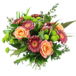 This hand-tied bouquet, displayed clearly against a clean white background, feels like a vibrant slice of Clerkenwell's creative spirit captured in flowers. At its core, large roses in shades of gentle peach and glowing apricot open generously, their soft, layered petals building up rounded shapes that convey warmth, affection, and a hint of old-world charm. Around them, Gerbera daisies in deep magenta, burgundy, and muted rose stretch outward, each bloom forming a flat circle of neat petals around a striking yellow or orange eye, delivering a playful burst of colour that enlivens the entire arrangement. Just above the central cluster, a striking protea rises, its distinctive conical head composed of firm bracts in reddish-brown and maroon hues that fade toward lighter edges, offering an exotic, sculptural presence that might remind someone of a modern art piece near Clerkenwell Green. Dotted among these larger flowers, bright lime-green button chrysanthemums form rounded pompons, their dense, small petals giving a tactile, cushion-like effect and a crisp pop of green, echoing hidden gardens tucked between local brick buildings. The design is framed by lush greenery: broad, gleaming leaves, slender arching blades, and airy eucalyptus sprigs that add height, texture, and a suggestion of cool, refreshing fragrance. All stems are tied neatly together at the base, creating a well-structured bundle ready for a vase in a studio near Exmouth Market or an apartment off St John Street. The overall mood is abundant yet refined, ideal for birthdays, milestones, or sending a thoughtful hello to someone in Clerkenwell.
