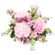 Set against a clean white background, this abundant bouquet feels like a soft breath of spring captured in flowers, echoing the gentle pace of Clerkenwell side streets. At its centre, three large, rounded hydrangea heads in pale blush pink form sumptuous clouds of petals, each floret catching the light to create a silky, rippled surface. Tucked between these hydrangeas are graceful roses in shades of blush and soft pink, some unfurling into full, layered rosettes while others remain tight buds, quietly hinting at blooms still to come. Threaded throughout the design, clusters of tiny, star-shaped waxflowers in richer pink and fuchsia add a confetti-like texture, their dainty petals and fine stems giving the bouquet a lightly scented, wild-garden feel. Smaller, five-petal pink blossoms reminiscent of phlox continue the theme of delicacy, softening the transitions between the showier flowers. From the outer edges, slender stems of bell-shaped campanula reach upward and outward, their lilac and periwinkle-blue cups introducing a cool counterpoint that keeps the arrangement airy rather than overly sweet. Deep green hydrangea leaves and slimmer green stems serve as a subtle frame, grounding the pastel tones and giving a fresh, just-gathered impression. The bouquet as a whole is rounded, lush, and slightly overflowing, like something carried from a ceremony at a Clerkenwell church or presented at a milestone birthday in a converted loft nearby. Crafted in the spirit of calm celebration, it would be ideal for thoughtful deliveries across Clerkenwell, bringing a whisper of romance and gentle colour into apartments, studios, and offices.