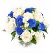 A serene blue and white sympathy bouquet rises in a neat dome from a simple clear glass vase, shown against a pure white background that recalls the calm of a quiet Clerkenwell morning. The arrangement is closely packed so that the flowers form a smooth, rounded silhouette, every stem contributing to the overall harmony. Dominating the design are velvety royal blue roses, their petals richly saturated and slightly curled, creating pools of deep colour that draw the eye inward. Interwoven with these are numerous ivory roses, softly opened and glowing with a creamy warmth that gently tempers the intensity of the blue. Slender stems of white freesia thread delicately through the roses, their small, bell-shaped flowers opening along graceful arcs, suggesting a light, comforting fragrance that feels both clean and soothing. Tiny tufts of white gypsophila, or baby's breath, are nestled throughout, filling the spaces between larger blooms to give a misty, cloud-like softness. Around the lower edge of the bouquet, dark green foliage peeks out in measured touches, grounding the composition without disturbing its quiet elegance. The clear cylindrical vase holds the straight green stems in a tidy cluster, a shallow layer of water shimmering at the base, similar to reflections one might notice near Clerkenwell Green after rain. The overall impression is of composed beauty and gentle strength, perfectly suited to moments of farewell, condolence visits, or memorial services across Clerkenwell, offering a comforting visual gesture where tenderness, loyalty, and remembrance are foremost.